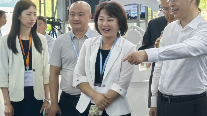 成都发动机配件质量对比：揭秘真伪与性能差异